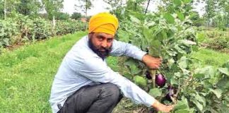 Inspiration Farmer Karnail Singh