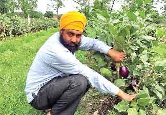 Inspiration Farmer Karnail Singh