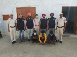 accused were arrested in the theft cases sachkahoon