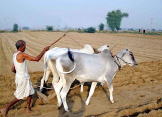 agricultural tourism centers sachkahoon