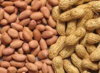 peanuts