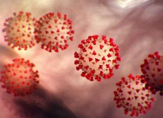 Three corona infected sachkahoon