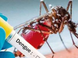 Dengue