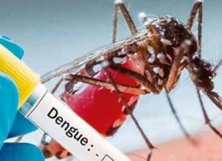 Dengue