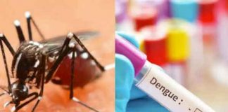 Dengue in Sirsa Sachkahoon