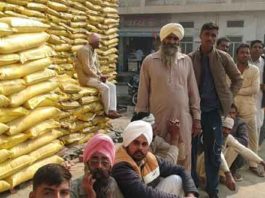 Fertilizer Shortage sachkahoon