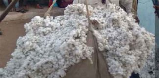 MSP on cotton sachkahoon