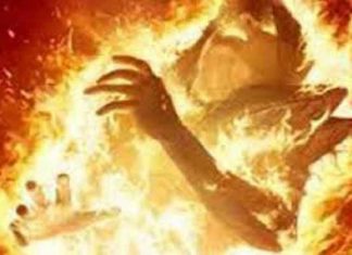 Elderly commits suicide sachkahoon