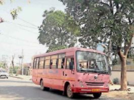 'Pink' buses sachkahoon