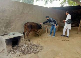 Vaccination-For-Animals sachkahoon