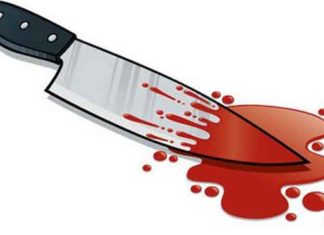 knife stabbed sachkahoon