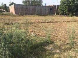 open sewerage sachkahoon