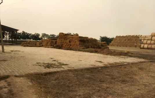 players yearning for practice sachkahoon