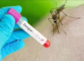 Dengue