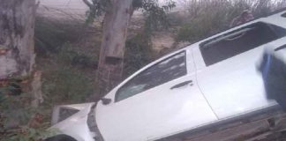 Car collided with tree sachkahoon