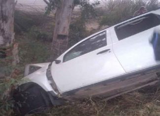 Car collided with tree sachkahoon