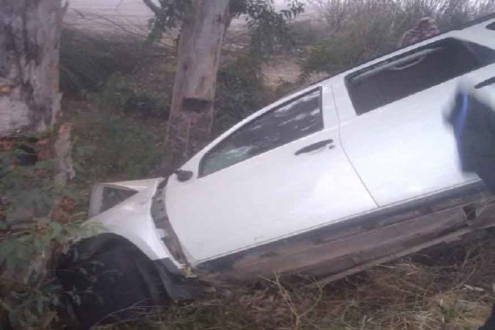 Car collided with tree sachkahoon