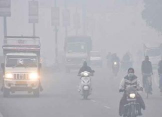 Cold wave and dense fog sachkahoon