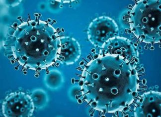 Corona and Omicron sachkahoon