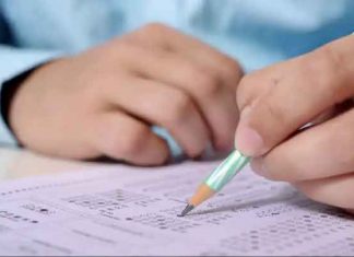 हरियाणा शिक्षक पात्रता: लेवल-3 (पीजीटी) परीक्षा कल Haryana Teacher Eligibility sachkahoon