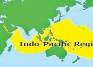 Indo-Pacific Region Sachkahoon