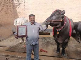 Krishak Ratna Award sachkahoon
