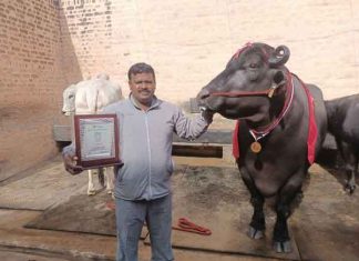 Krishak Ratna Award sachkahoon