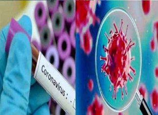 Seven more corona infected sachkahoon