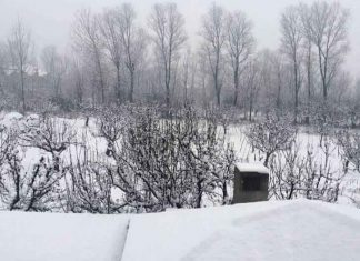 Severe cold in Himachal sachkahoon