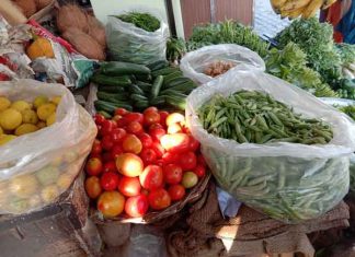 Vegetable prices fall sachkahoon