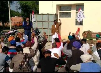 drip system sachkahoon