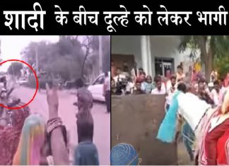 अजब-गजब: घोड़ी पर सवार दूल्हे के पास फोड़ दिया पटाखा, फिर घोड़ी दुल्हे को लेकर हो गई फरार