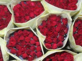 quality of rose flowers sachkahoon