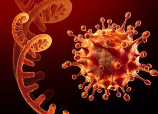 नए वेरिएंट बना रहे आपात स्थिति variant Omicron sachkahoon