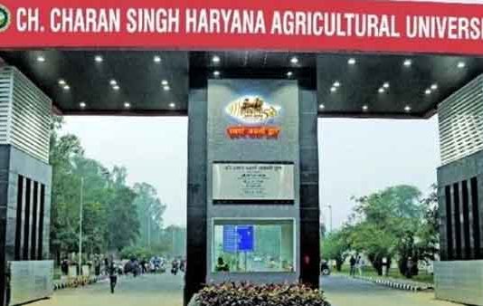Ch. Charan Singh Haryana Agricultural University sachkahoon