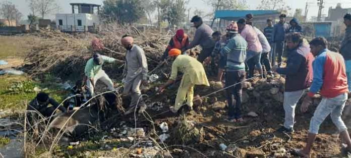 Dera devotees saved cow's life sachkahoon