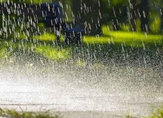 Heavy rain in Haryana-Punjab sachkahoon