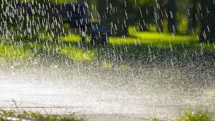 Heavy rain in Haryana-Punjab sachkahoon