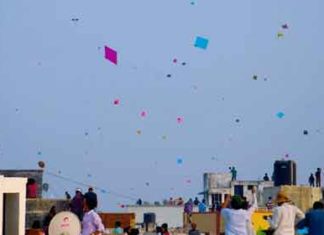 दिनभर ठिठुरन के बीच आसमां में उड़ी पतंगें Makar Sankranti Festival sachkahoon
