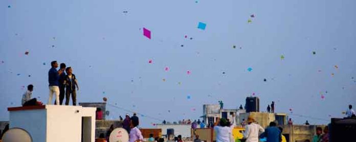 Makar Sankranti Festival sachkahoon