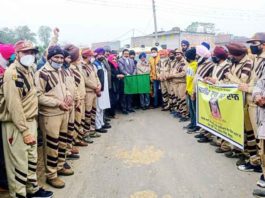 माया कौर इन्सां बनी सुनाम ब्लॉक की 22वीं शरीरदानी Maya Kaur Insan sachkahoon