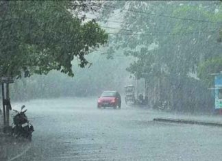 Rain in Rajasthan sachkahoon