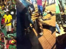 Stampede in Cameroon