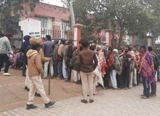 fertilizer sachkahoon