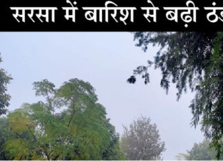 हरियाणा समेत दिल्ली में हल्की बारिश Rain in Haryana