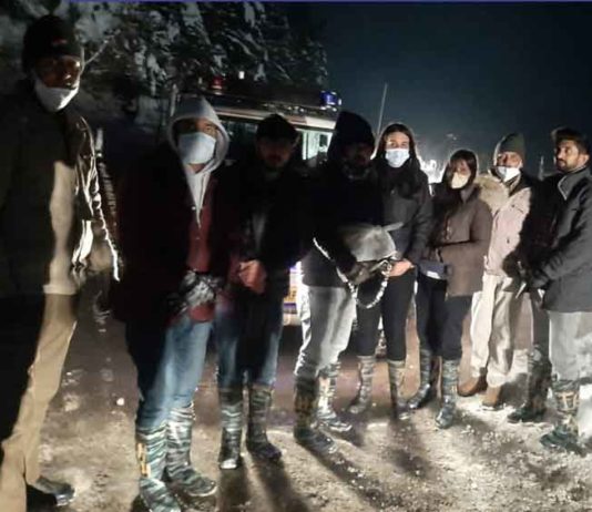 snowfall rescued sachkahoon