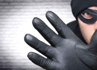Thieves sachkahoon