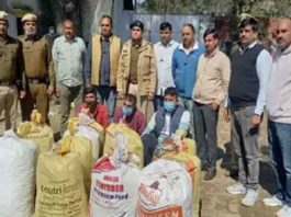 30 lakh ganja arrested sachkahoon