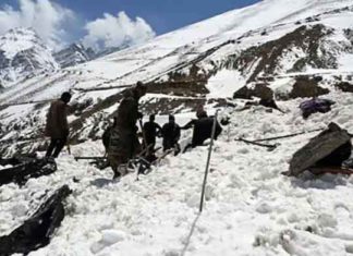 Avalanche sachkahoon
