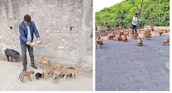 Bihar sachkahoon